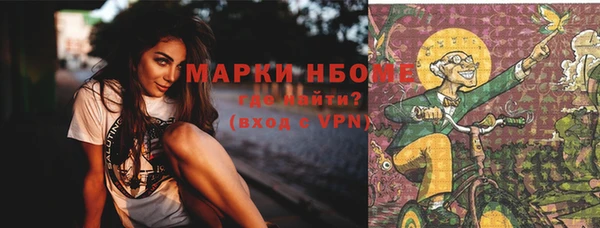 тгк Алзамай