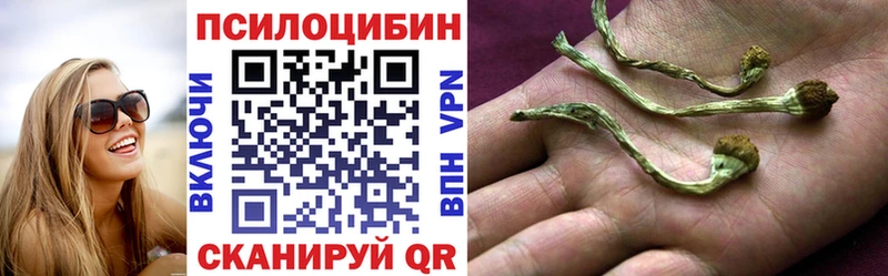 kraken зеркало  Апшеронск  Псилоцибиновые грибы мухоморы  купить  